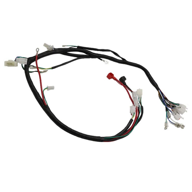 Bravedog Complete Wiring Harness kit Wire Loom Electrics Stator Coil CDI for ATV Quad 4 Four Wheelers 150CC 200CC 250CC Go Kart Dirt Pit Bikes - Image 4